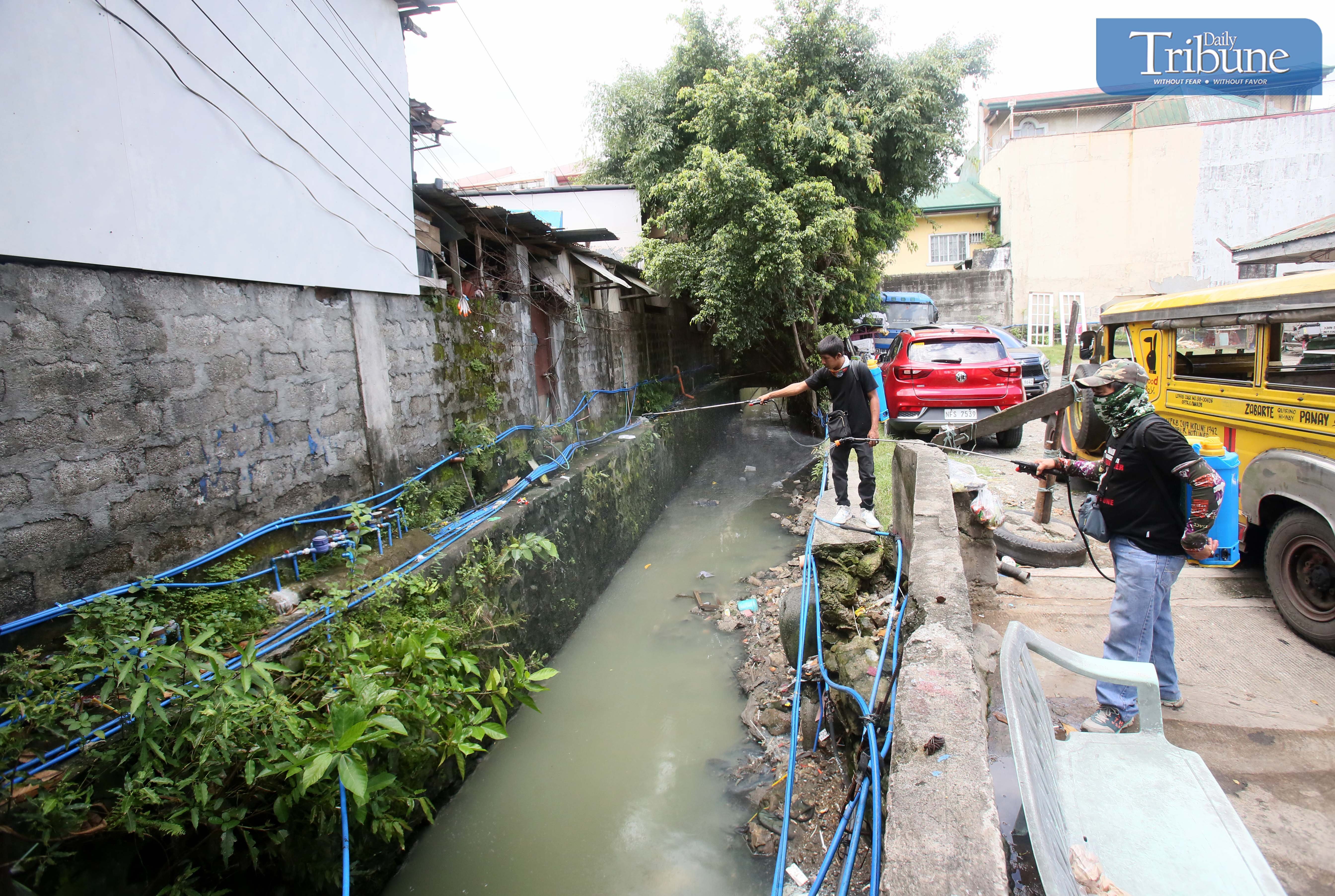 Record Baguio dengue cases attributed to prevention failures
